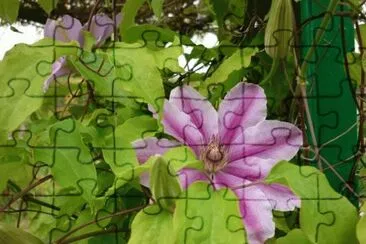 MARSU jigsaw puzzle