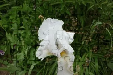  jigsaw puzzle