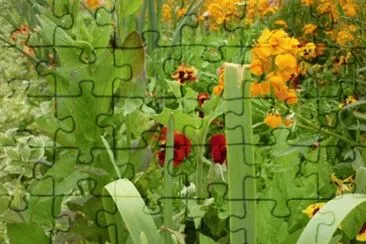MARSU jigsaw puzzle