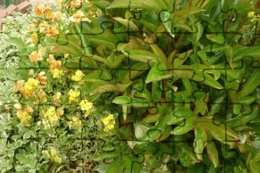 MARSU jigsaw puzzle