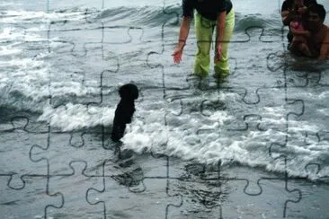 animales jigsaw puzzle