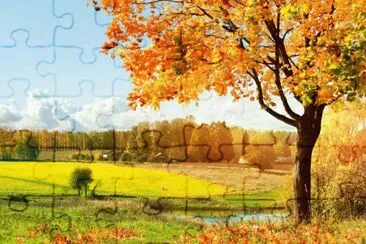 ama jigsaw puzzle