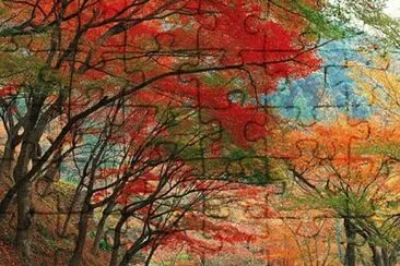 otoÃ±o jigsaw puzzle