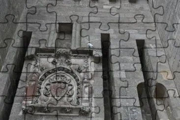 MARSU jigsaw puzzle