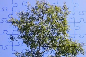 MARSU jigsaw puzzle