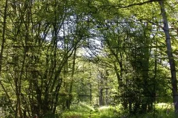 MARSU