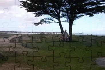 MARSU jigsaw puzzle