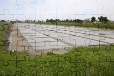 MARSU jigsaw puzzle