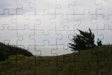 MARSU jigsaw puzzle