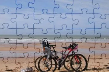 MARSU jigsaw puzzle
