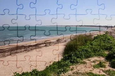 MARSU jigsaw puzzle