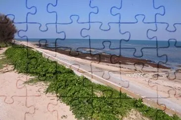 MARSU jigsaw puzzle