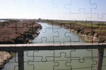 MARSU jigsaw puzzle