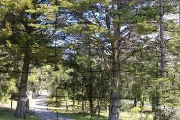 MARSU