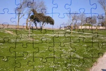 MARSU jigsaw puzzle