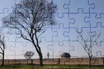 MARSU jigsaw puzzle