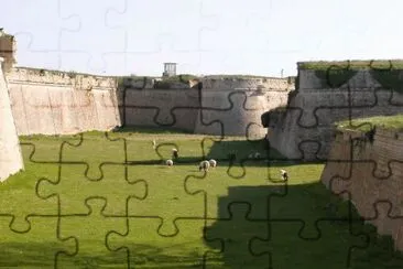 MARSU jigsaw puzzle