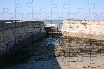 MARSU jigsaw puzzle