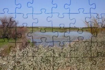 פאזל של MARSU