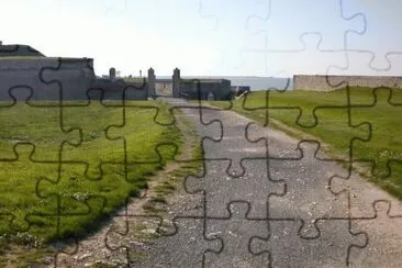 MARSU jigsaw puzzle