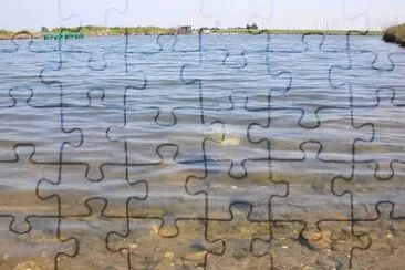 MARSU jigsaw puzzle
