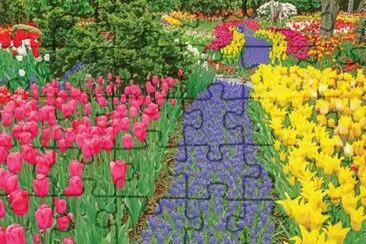 Springflowers