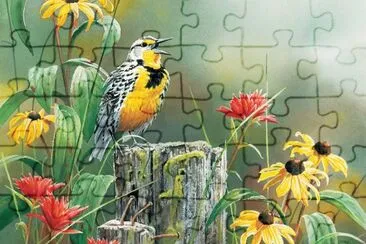 Meadowlark