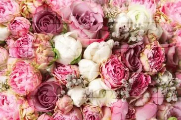 ramo jigsaw puzzle