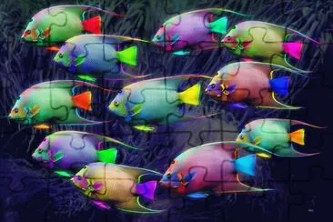 In the Pandorian Sea jigsaw puzzle