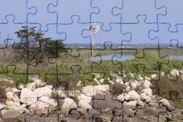 פאזל של MARSU