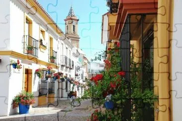 calle andaluza jigsaw puzzle