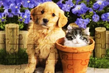 el pero y el gato jigsaw puzzle