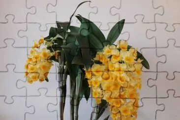 Orquidea