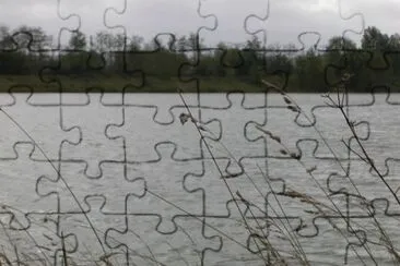 MARSU jigsaw puzzle