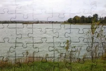 MARSU jigsaw puzzle