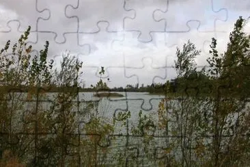 MARSU jigsaw puzzle