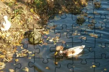 MARSU jigsaw puzzle