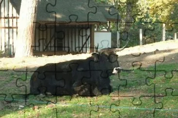 MARSU jigsaw puzzle