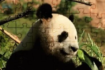 MARSU jigsaw puzzle