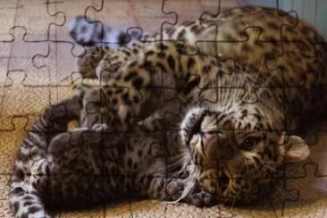 MARSU jigsaw puzzle