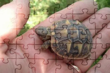 La mia amichetta jigsaw puzzle