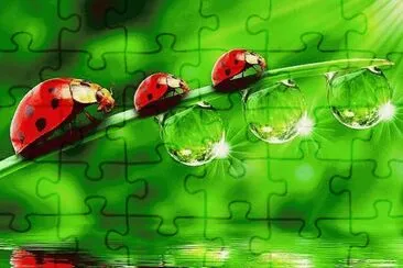 . jigsaw puzzle