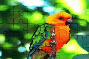 . jigsaw puzzle