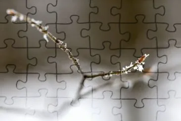 MARSU jigsaw puzzle