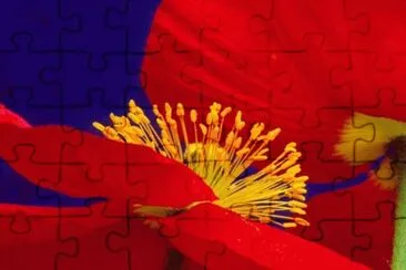 Icelandic Flowers jigsaw puzzle