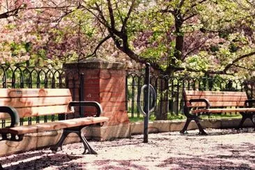 Springtime