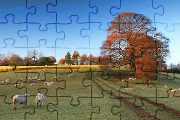 frosty Cotswold morning jigsaw puzzle