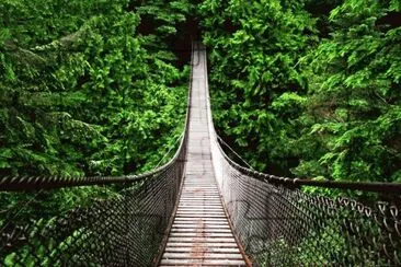 Puente