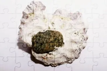 MARSU jigsaw puzzle