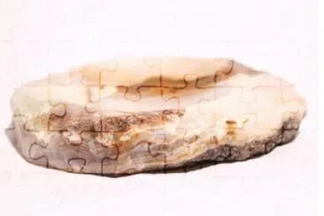 MARSU